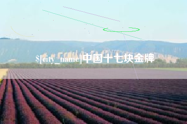 黑河中国十七块金牌