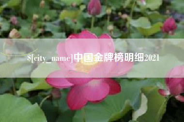 黑河中国金牌榜明细2021
