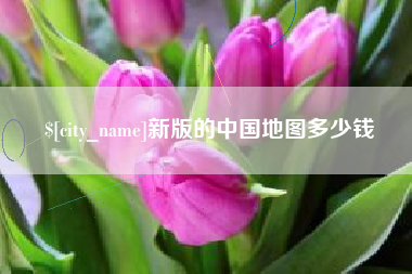 黑河新版的中国地图多少钱