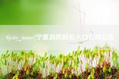 黑河宁夏消防报名入口官网公告