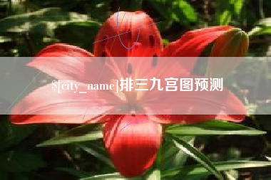 黑河排三九宫图预测