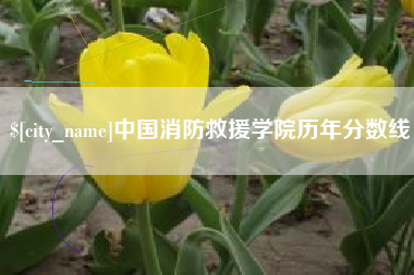 黑河中国消防救援学院历年分数线