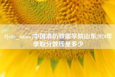 黑河中国消防救援学院山东2020年录取分数线是多少