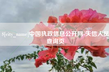 黑河中国执政信息公开网-失信人员查询页