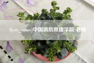 黑河中国消防救援学院 老师