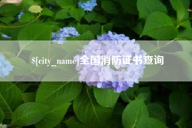 黑河全国消防证书查询