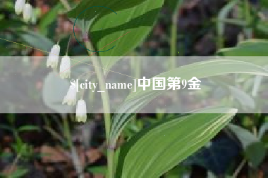 黑河中国第9金