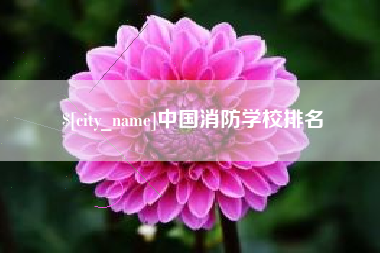 黑河中国消防学校排名