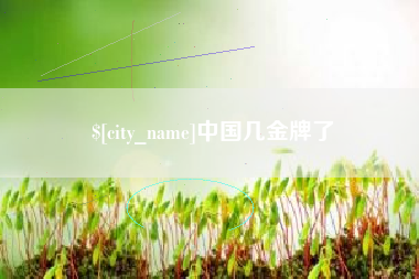 黑河中国几金牌了