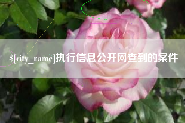 黑河执行信息公开网查到的案件