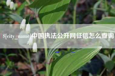 黑河中国执法公开网征信怎么查询