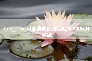 黑河中国消防救援学院2019录取分数线