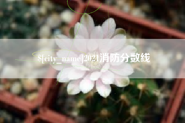 黑河2021消防分数线