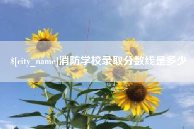 黑河消防学校录取分数线是多少