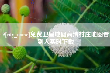 黑河免费卫星地图高清村庄地图看到人实时下载