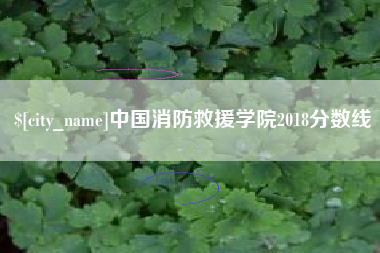 黑河中国消防救援学院2018分数线