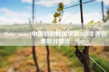 黑河中国消防救援学院2020年各省录取分数线