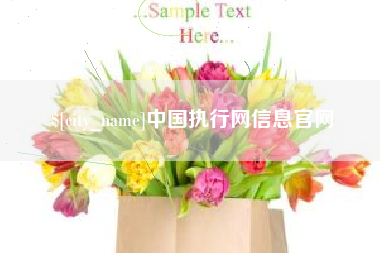黑河中国执行网信息官网