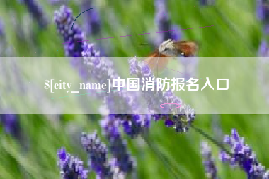 黑河中国消防报名入口