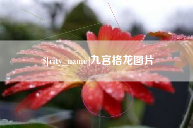 黑河九宫格龙图片