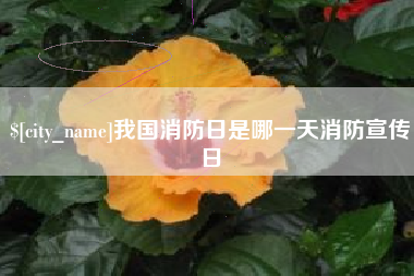 黑河我国消防日是哪一天消防宣传日