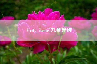 黑河九金是谁