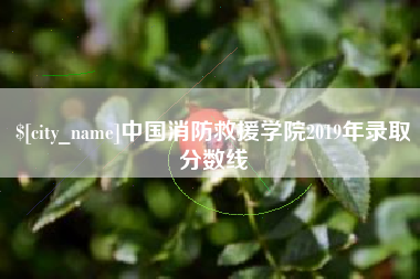 黑河中国消防救援学院2019年录取分数线