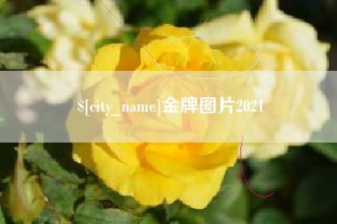 黑河金牌图片2021