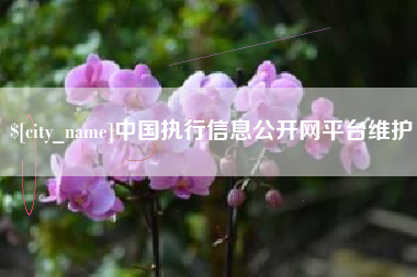 黑河中国执行信息公开网平台维护