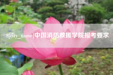 黑河中国消防救援学院报考要求