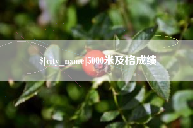 黑河5000米及格成绩