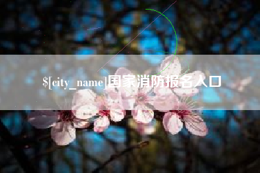 黑河国家消防报名入口