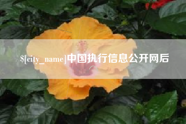黑河中国执行信息公开网后