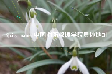 黑河中国消防救援学院具体地址