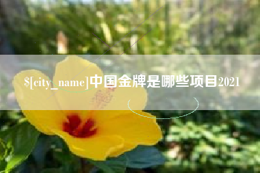 黑河中国金牌是哪些项目2021