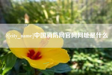 黑河中国消防网官网网址是什么