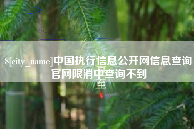 黑河中国执行信息公开网信息查询官网限消中查询不到