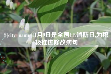 黑河11月9日是全国119消防日,为积极推进修改病句