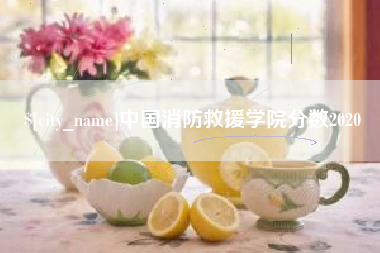黑河中国消防救援学院分数2020