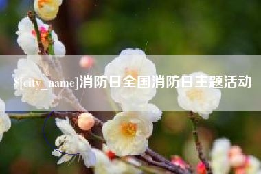 黑河消防日全国消防日主题活动