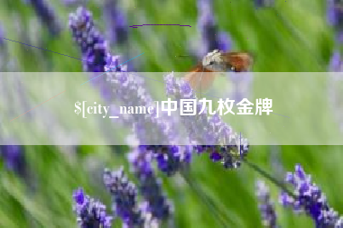 黑河中国九枚金牌