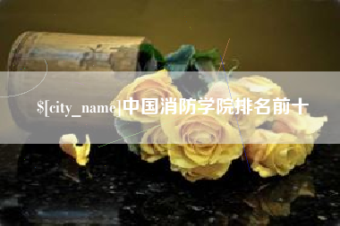 黑河中国消防学院排名前十