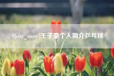 黑河王子豪个人简介乒乓球