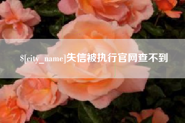 黑河失信被执行官网查不到
