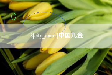 黑河中国九金