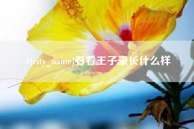 黑河看看王子豪长什么样