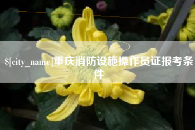 黑河重庆消防设施操作员证报考条件