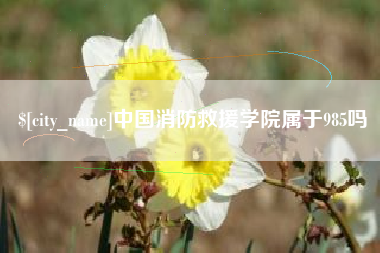 黑河中国消防救援学院属于985吗