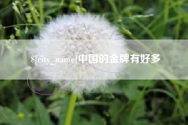 黑河中国的金牌有好多