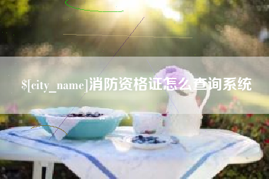 黑河消防资格证怎么查询系统